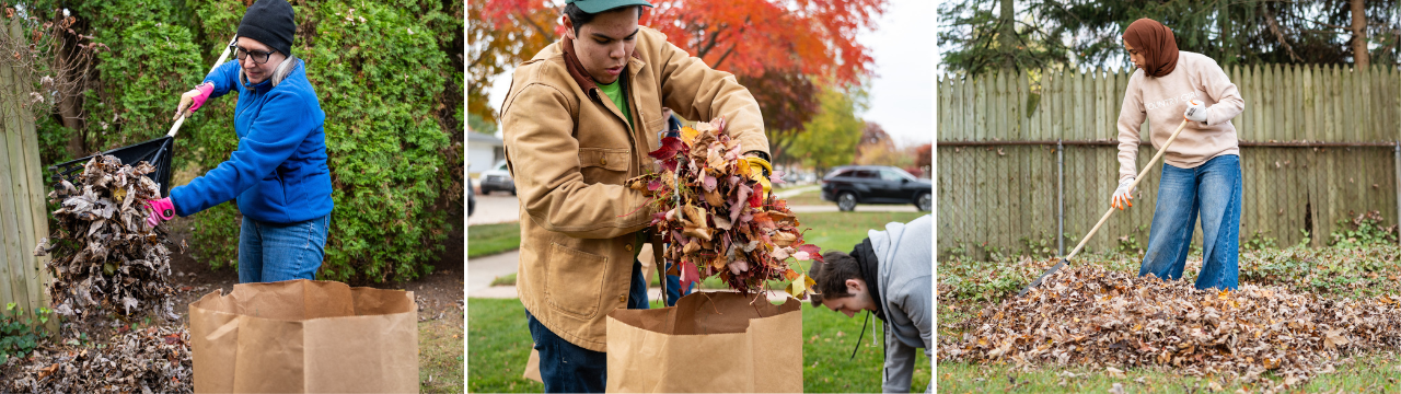Shine Day Website Banner